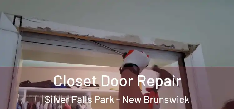 Closet Door Repair Silver Falls Park - New Brunswick