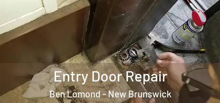 Entry Door Repair Ben Lomond - New Brunswick