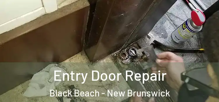Entry Door Repair Black Beach - New Brunswick