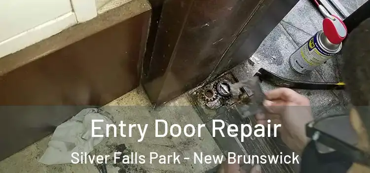 Entry Door Repair Silver Falls Park - New Brunswick