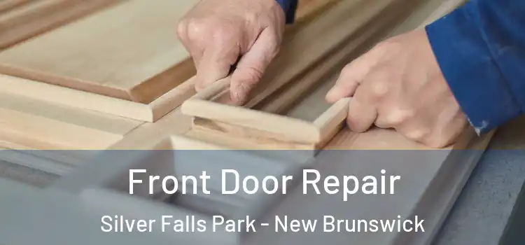 Front Door Repair Silver Falls Park - New Brunswick