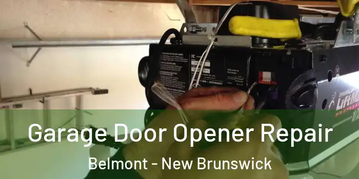 Garage Door Opener Repair Belmont - New Brunswick