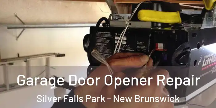 Garage Door Opener Repair Silver Falls Park - New Brunswick