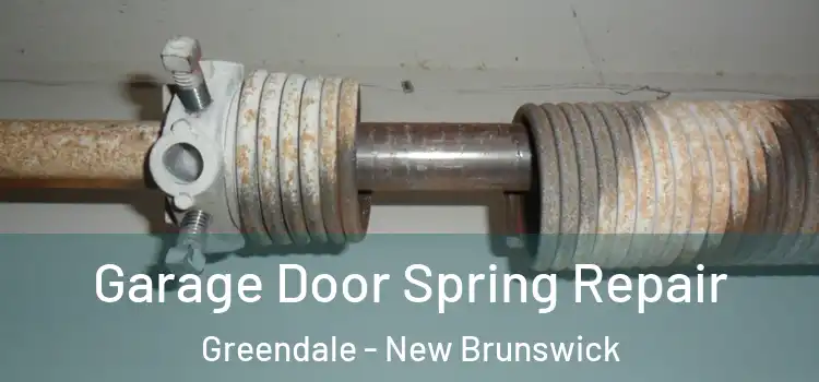 Garage Door Spring Repair Greendale - New Brunswick