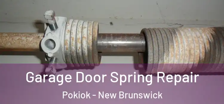 Garage Door Spring Repair Pokiok - New Brunswick