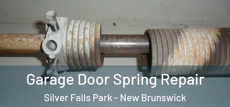 Garage Door Spring Repair Silver Falls Park - New Brunswick