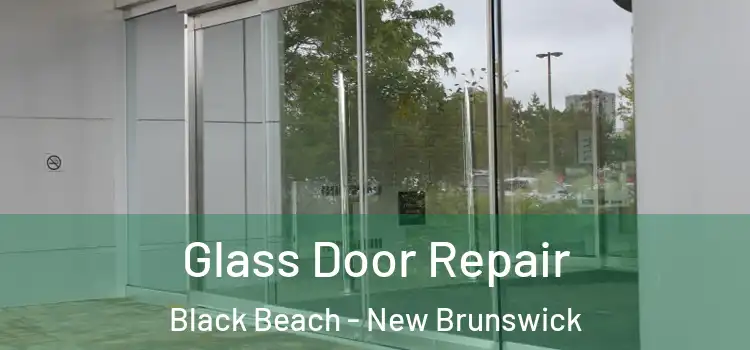 Glass Door Repair Black Beach - New Brunswick