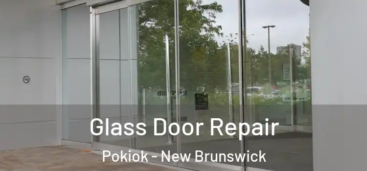 Glass Door Repair Pokiok - New Brunswick
