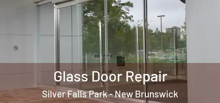 Glass Door Repair Silver Falls Park - New Brunswick