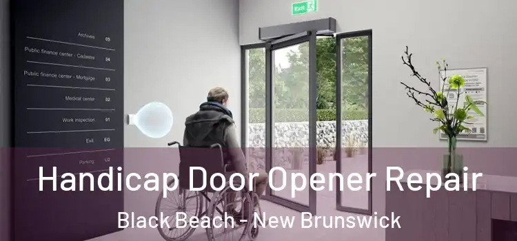 Handicap Door Opener Repair Black Beach - New Brunswick