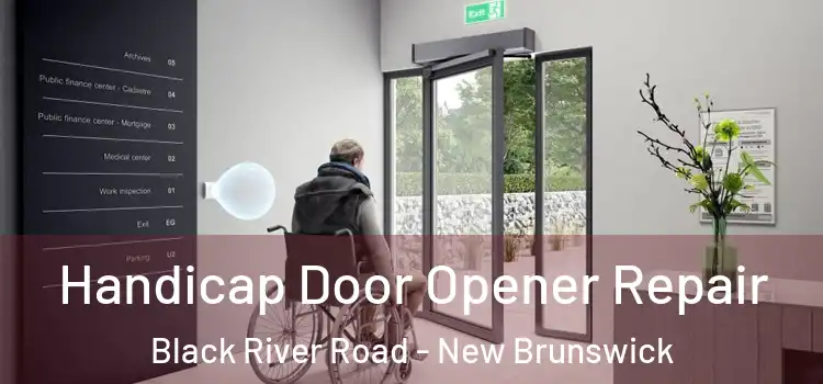Handicap Door Opener Repair Black River Road - New Brunswick