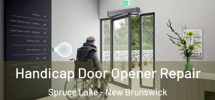 Handicap Door Opener Repair Spruce Lake - New Brunswick