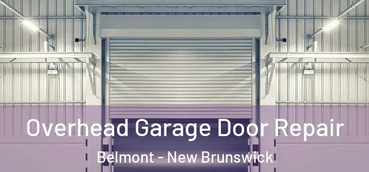 Overhead Garage Door Repair Belmont - New Brunswick