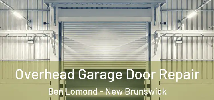 Overhead Garage Door Repair Ben Lomond - New Brunswick