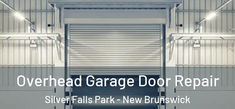 Overhead Garage Door Repair Silver Falls Park - New Brunswick