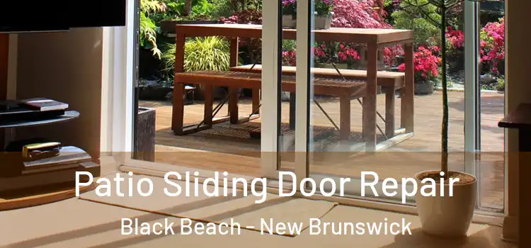 Patio Sliding Door Repair Black Beach - New Brunswick