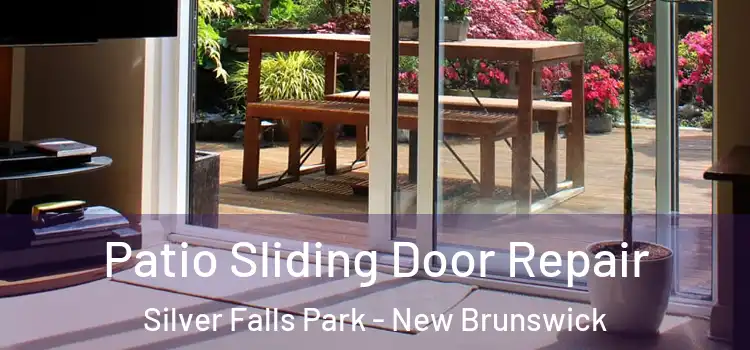Patio Sliding Door Repair Silver Falls Park - New Brunswick