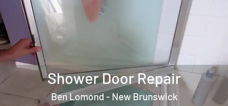 Shower Door Repair Ben Lomond - New Brunswick