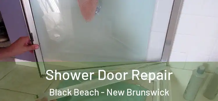 Shower Door Repair Black Beach - New Brunswick