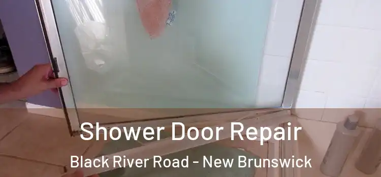 Shower Door Repair Black River Road - New Brunswick