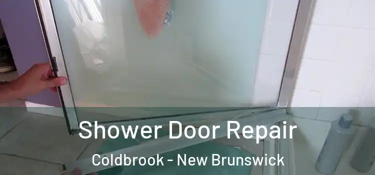 Shower Door Repair Coldbrook - New Brunswick