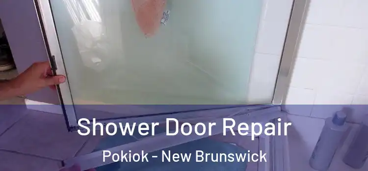 Shower Door Repair Pokiok - New Brunswick