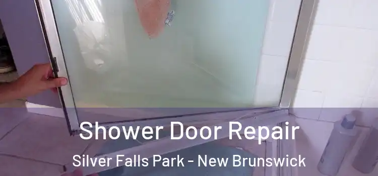 Shower Door Repair Silver Falls Park - New Brunswick