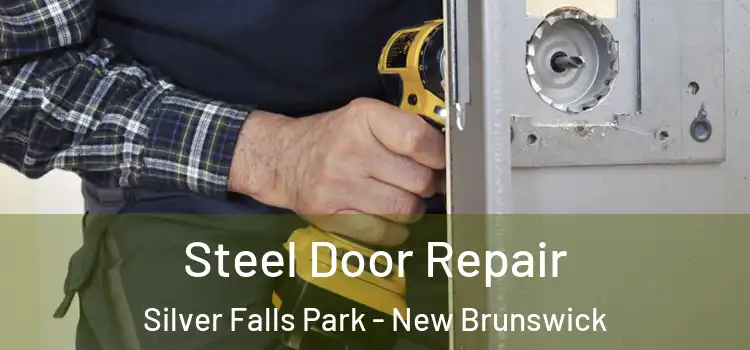Steel Door Repair Silver Falls Park - New Brunswick