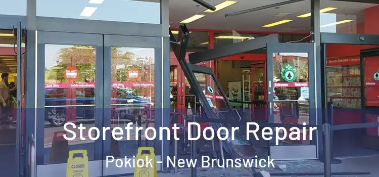 Storefront Door Repair Pokiok - New Brunswick