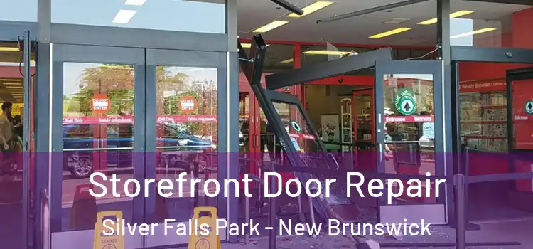 Storefront Door Repair Silver Falls Park - New Brunswick