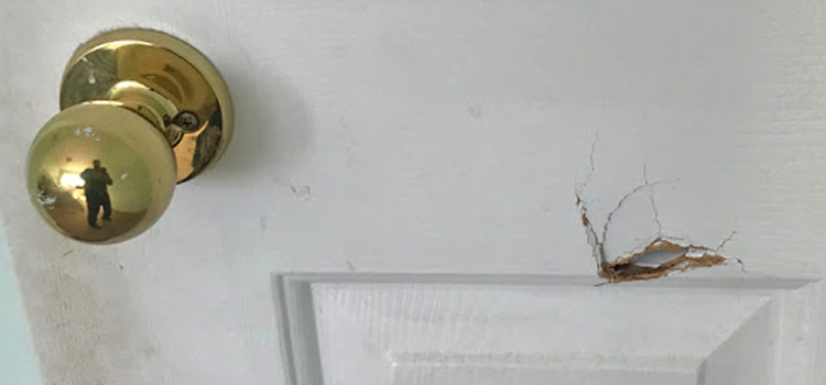 interior door hole repair Seaview