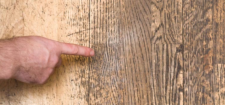 Wood Door Scratch Repair in Seaview